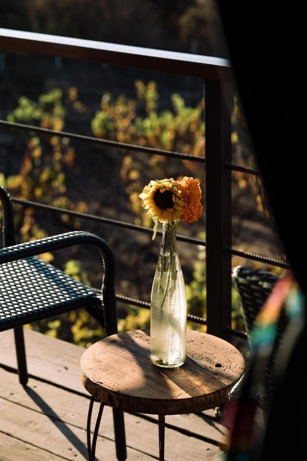 Uvauva Eco-Retreat Bed & Breakfast Valle de Guadalupe Eksteriør bilde