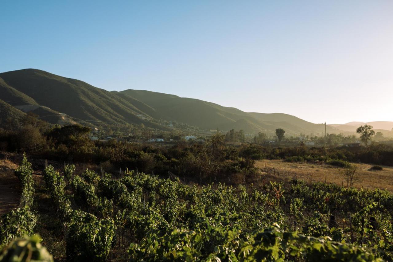 Uvauva Eco-Retreat Bed & Breakfast Valle de Guadalupe Eksteriør bilde