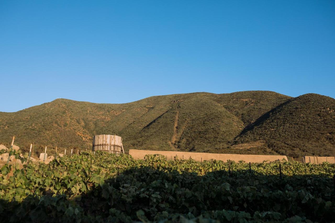 Uvauva Eco-Retreat Bed & Breakfast Valle de Guadalupe Eksteriør bilde