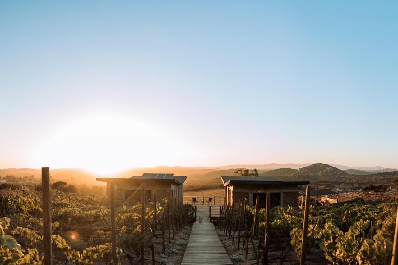 Uvauva Eco-Retreat Bed & Breakfast Valle de Guadalupe Eksteriør bilde
