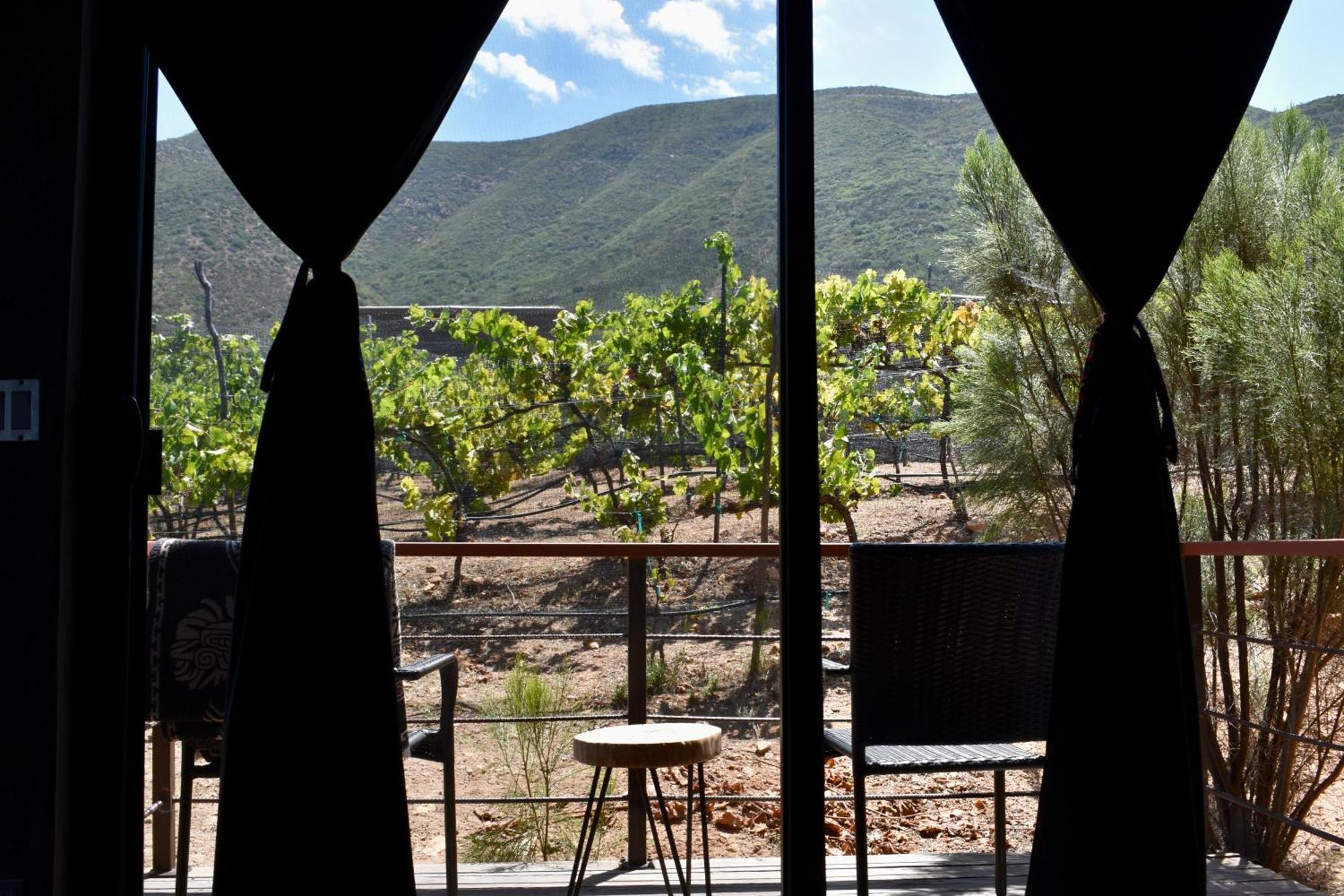 Uvauva Eco-Retreat Bed & Breakfast Valle de Guadalupe Eksteriør bilde