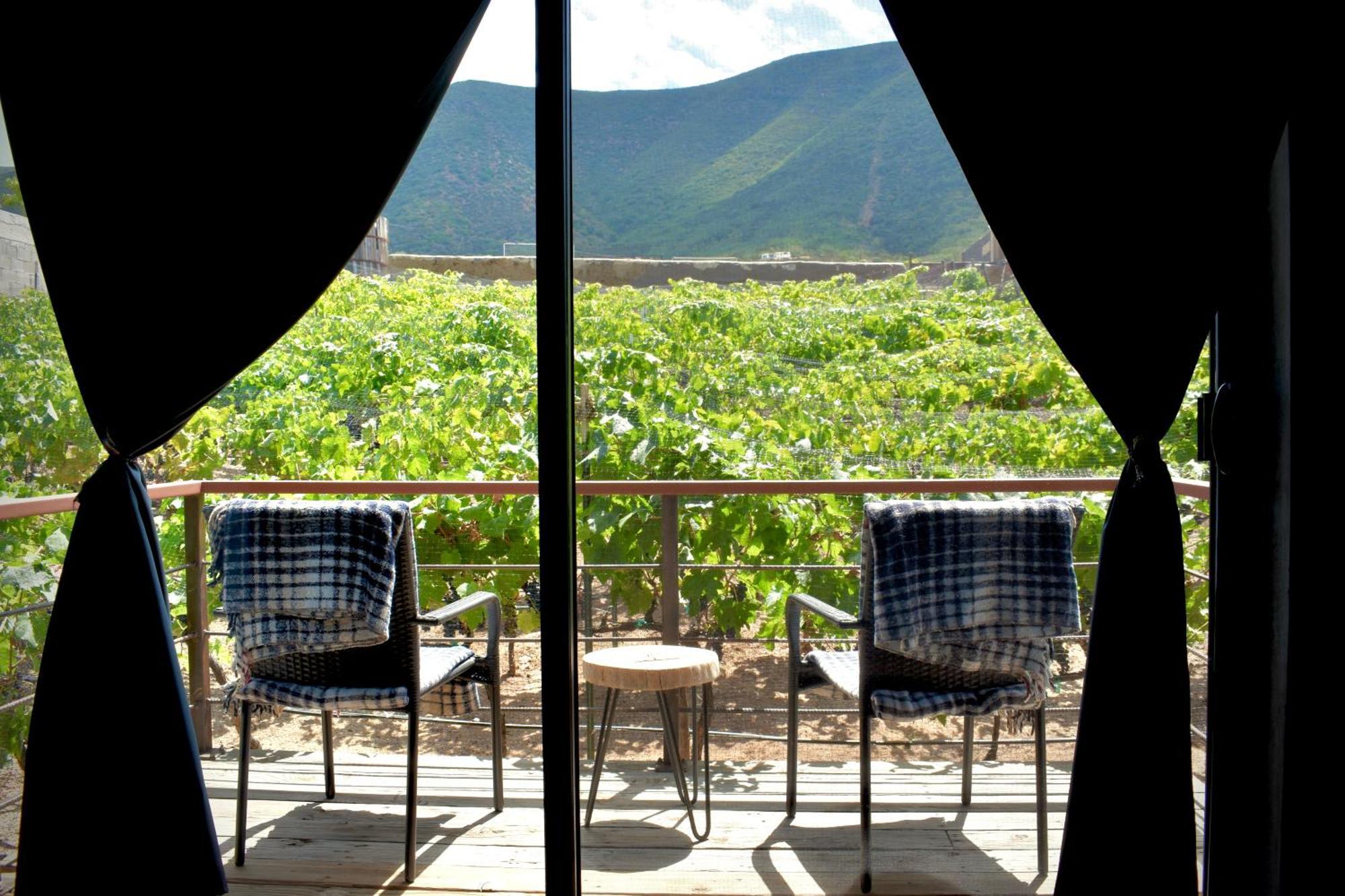 Uvauva Eco-Retreat Bed & Breakfast Valle de Guadalupe Eksteriør bilde
