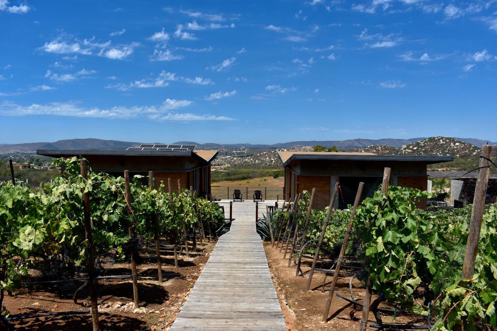 Uvauva Eco-Retreat Bed & Breakfast Valle de Guadalupe Eksteriør bilde